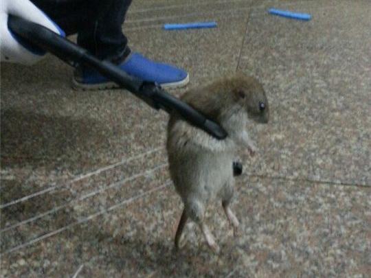 20180609142302_44230.jpg 20180609142302_44230.jpg